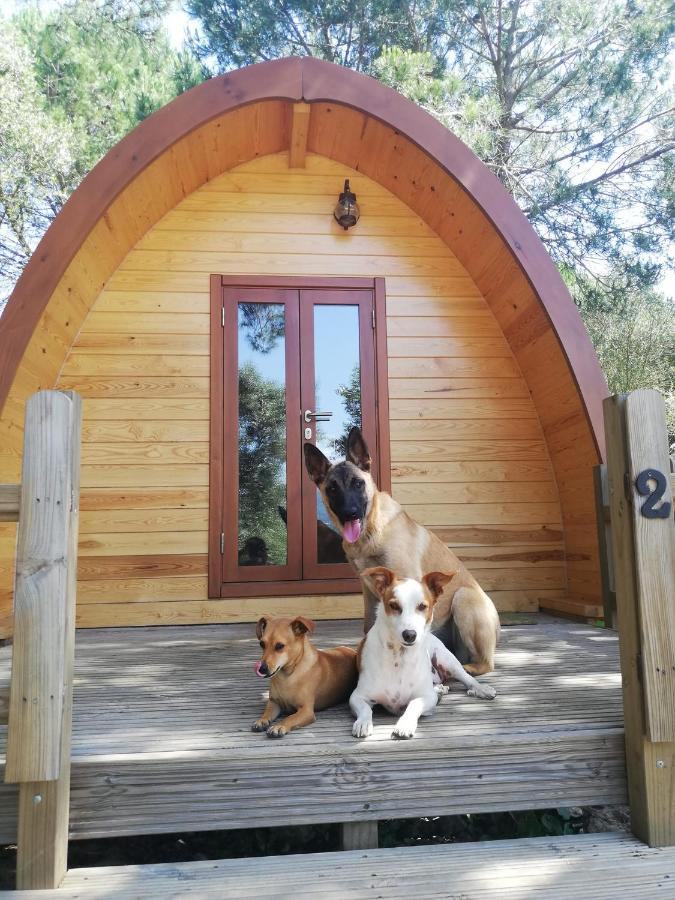 Glamping Sintra Hotell Eksteriør bilde