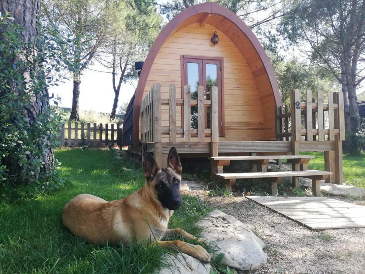 Glamping Sintra Hotell Eksteriør bilde