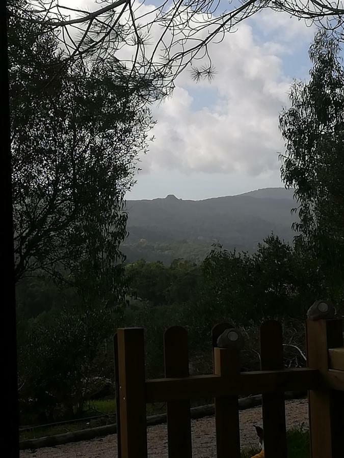 Glamping Sintra Hotell Eksteriør bilde